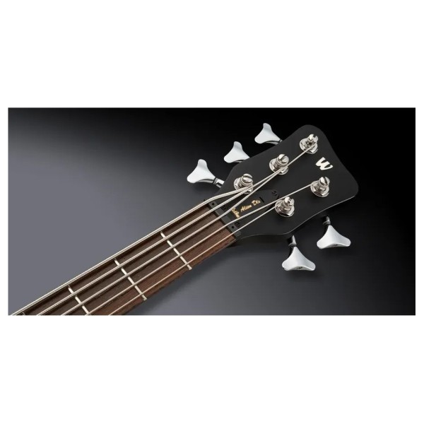 Warwick RockBass Alien Deluxe Hybrid Thinline 5 String Acoustic Bass, Solid Black