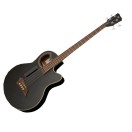 Warwick RockBass Alien Deluxe Hybrid Thinline Acoustic Bass, Solid Black
