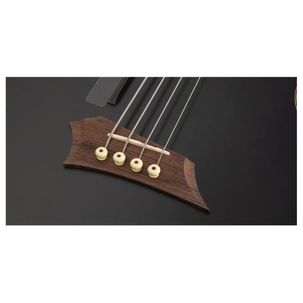 Warwick RockBass Alien Deluxe Hybrid Thinline Acoustic Bass, Solid Black