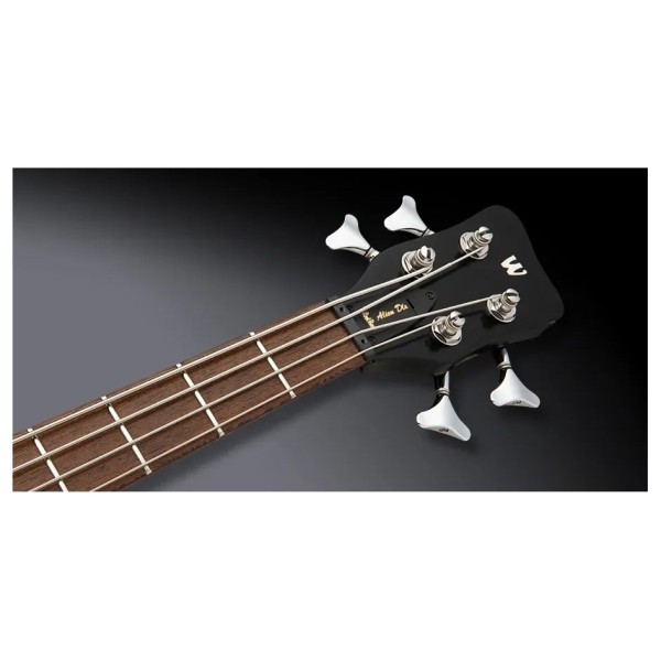 Warwick RockBass Alien Deluxe Hybrid Thinline Acoustic Bass, Solid Black