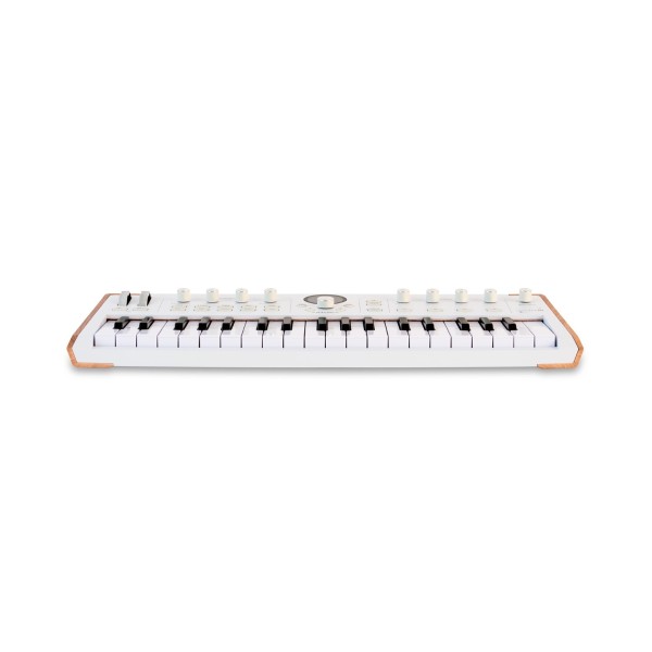 Arturia Astrolab 37 Portable Stage Keyboard - Front