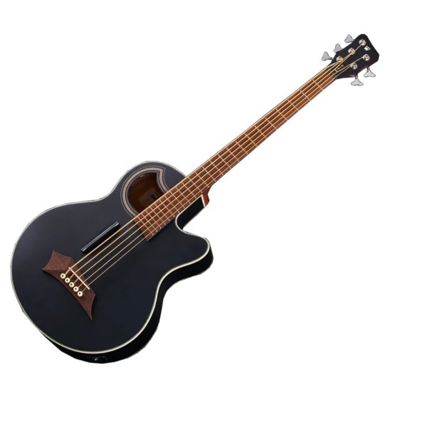 Warwick RockBass Alien Standard 5 String Acoustic Bass, Solid Black