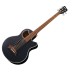 Warwick RockBass Alien Standard 5 String Acoustic Bass, Solid Black