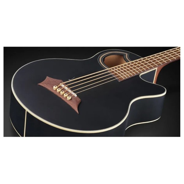 Warwick RockBass Alien Standard 5 String Acoustic Bass, Solid Black