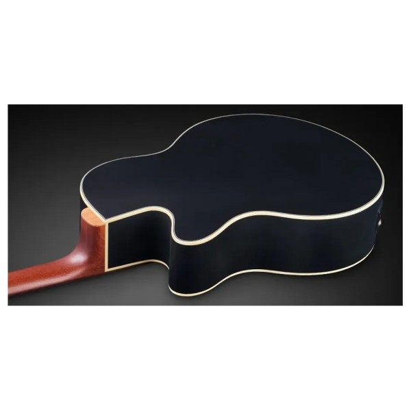 Warwick RockBass Alien Standard 5 String Acoustic Bass, Solid Black