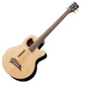 Warwick RockBass Alien Standard 5 String Fretless Acoustic Bass, Natural