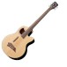 Warwick RockBass Alien Standard 5 String Fretless Acoustic Bass, Natural
