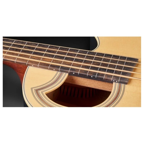 Warwick RockBass Alien Standard 5 String Fretless Acoustic Bass, Natural