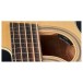 Warwick RockBass Alien Standard 5 String Fretless Acoustic Bass, Natural