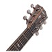 Taylor 814e Grand Auditorium, V-Class Natural - headstock
