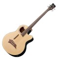 Warwick RockBass Alien Standard Fretless Acoustic Bass, Natural
