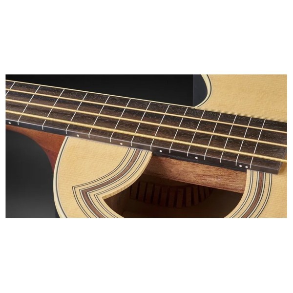 Warwick RockBass Alien Standard Fretless Acoustic Bass, Natural