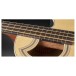 Warwick RockBass Alien Standard Fretless Acoustic Bass, Natural