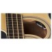 Warwick RockBass Alien Standard Fretless Acoustic Bass, Natural