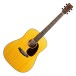 Martin D-10E Retro Full Front