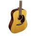 Martin D-12E Retro Additional