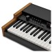 Viscount Legend Solo Portable Organ