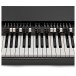 Viscount Legend Solo Portable Organ