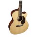 Martin GPC-13E Modern Additional