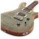 PRS SE Custom 24, Trampas Green (2026) - body