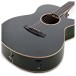 Tanglewood TW4-E-FG Winterleaf, Green Gloss