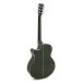 Tanglewood TW4-E-FG Winterleaf, Green Gloss