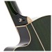 Tanglewood TW4-E-FG Winterleaf, Green Gloss