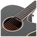 Tanglewood TW4-E-FG Winterleaf, Green Gloss