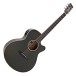 Tanglewood TW4-E-FG Winterleaf, Green Gloss