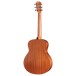 Taylor ZEDD GS Mini Telos Special Edition - back