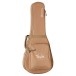 Taylor ZEDD GS Mini Telos Special Edition - case