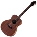 Taylor Jacob Collier Academy 22e 5-String, Walnut