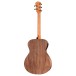 Taylor Jacob Collier Academy 22e 5-String, Walnut - back