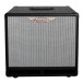 Ashdown RM-110T-EVO III Bass Speaker Cabinet - Front