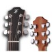 Furch MC Blue Gc-CM SPE a w/ LR Baggs Stagepro Element - headstock