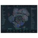 Native Instruments Absynth 6
