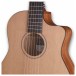 Furch Guitars Pioneer-CM a Travel Guitar - soundhole