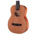 Furch Guitars Little Jane LJ 10-MM w/ LR Baggs EAS-VTC - body