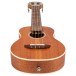 Flight Iris Concert Calantas Ukulele, Natural - lower bout