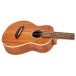 Flight Iris Concert Calantas Ukulele, Natural - body