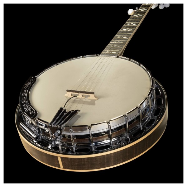 L.R. Baggs 5-String Banjo Pickup, Lifestyle