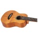 Flight Iris Concert Tinta Ukulele, Natural - body
