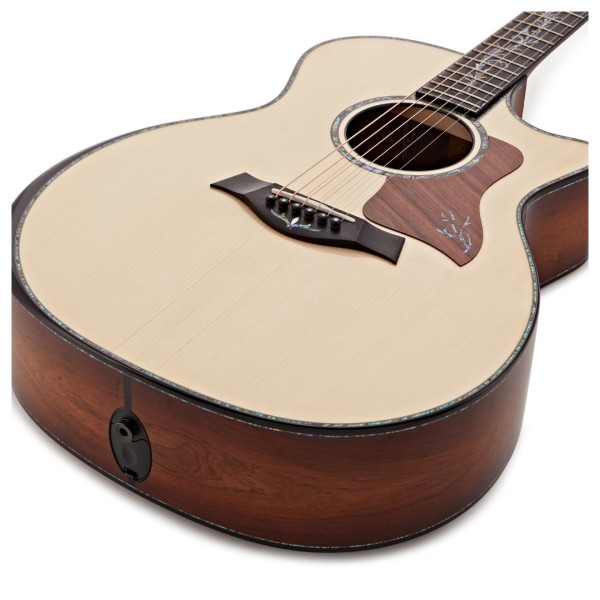 Taylor Presentation PS14ce #1212183021 - Nearly New - body