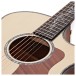 Taylor Presentation PS14ce #1212183021 - Nearly New - soundhole
