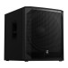Electro-Voice Eviva 18P Portable Powered Subwoofer, Left Angle