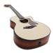 Taylor Presentation PS14ce Electro Acoustic, Honduran Rosewood/Adirondack Spruce - angled shot