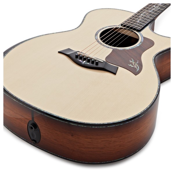 Taylor Presentation PS14ce Electro Acoustic, Honduran Rosewood/Adirondack Spruce - body