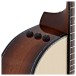 Taylor Presentation PS14ce Electro Acoustic, Honduran Rosewood/Adirondack Spruce - controls