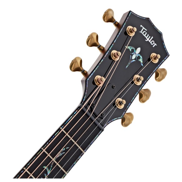 Taylor Presentation PS14ce Electro Acoustic, Honduran Rosewood/Adirondack Spruce - headstock