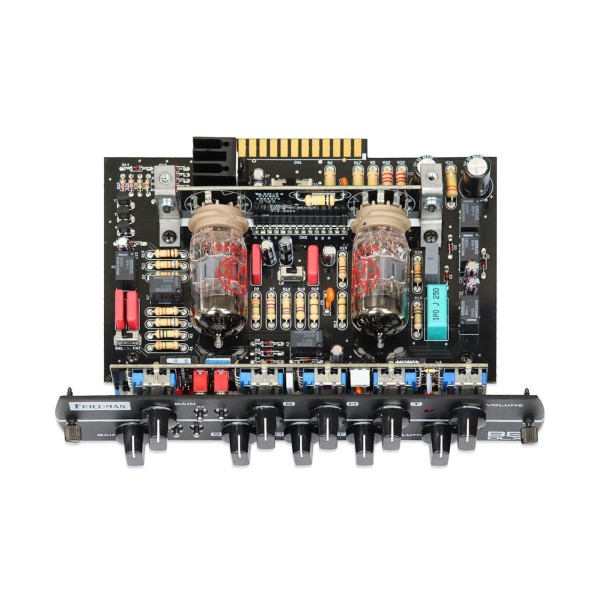 Synergy Friedman BE-DLX 2-Channel Preamp Module - Top 2